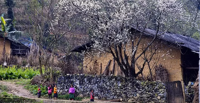 Chẳng cần gọt giũa hay chất kết dính nào, những viên đá nhọn hoắt, muôn hình vạn trạng vẫn tạo nên bức tường kiên cố. Ảnh: Baohagiang.