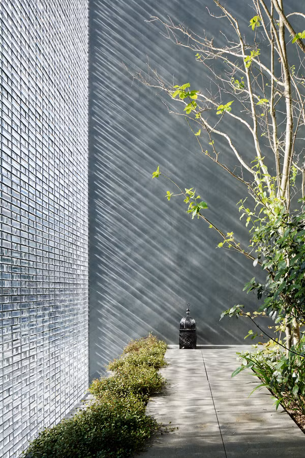 Ánh nắng xuyên qua lớp kính tạo thành tia sáng nhảy múa trên tường và bao phủ khắp các khóm cây.