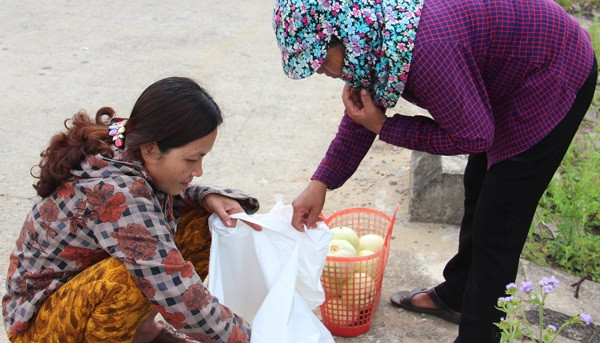 Trừ chi phí, bà con Thịnh Lộc thu về từ 15 - 20 triệu đồng/sào dưa lê. Ảnh: Baohatinh.