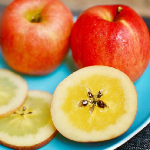 Khi cắt ngang từng lát táo sẽ thấy phần thịt táo trong veo (chính là phần mật) ở giữa lõi táo. Ảnh: Minhphuongfruit.