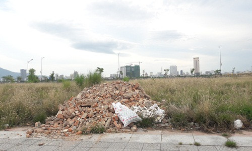 Theo Báo Diễn Đàn Doanh Nghiệp, lúc đầu khi công ty con của Hoàng Anh Gia Lai làm chủ đầu tư, đơn vị này đã "vẽ" nên một kiệt tác rất đẹp với 4 tầng trung tâm thương mại, 54 tầng văn phòng cho thuê và 2.944 căn hộ cao cấp... tổng vốn đầu tư 150 triệu USD nhưng sau đó, dự án bất động và bỏ hoang cho cỏ mọc um tùm. Ảnh: Kinh tế &amp; Tiêu dùng.