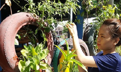 Tuy nhiên, vì cây trồng trên cao, lại cách ly với mặt đất, vì vậy cần phải thường xuyên chăm tưới.