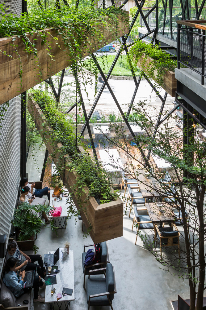 Bên cạnh cây lớn giữa nhà, quán cà phê hiện đại còn được trang trí bằng nhiều bồn gỗ độc đáo.