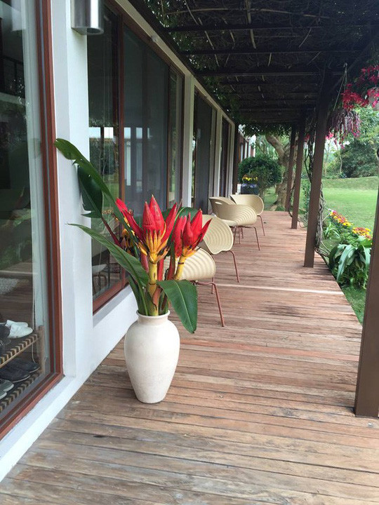 Ngôi nhà sử dụng vật liệu gỗ nâu trầm kết hợp với kính trong suốt, đón sáng cho không gian bên trong. Ảnh: NLĐ.