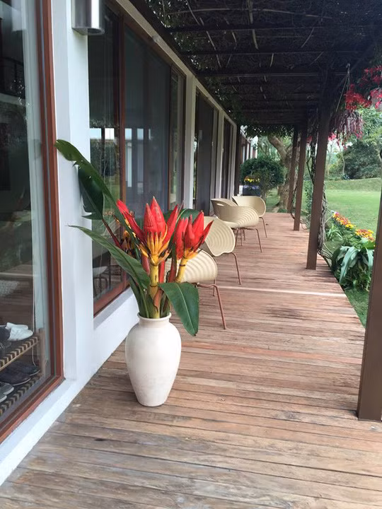 Ngôi nhà sử dụng vật liệu gỗ nâu trầm kết hợp với kính trong suốt, đón sáng cho không gian bên trong. Ảnh: NLĐ.