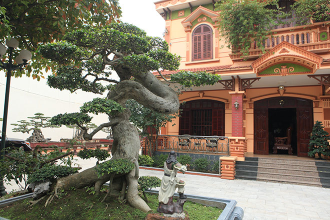 Anh Toàn còn sở hữu một tác phẩm duối cổ, thân uốn lượn hình chữ Tâm. Ảnh: Dân Việt.