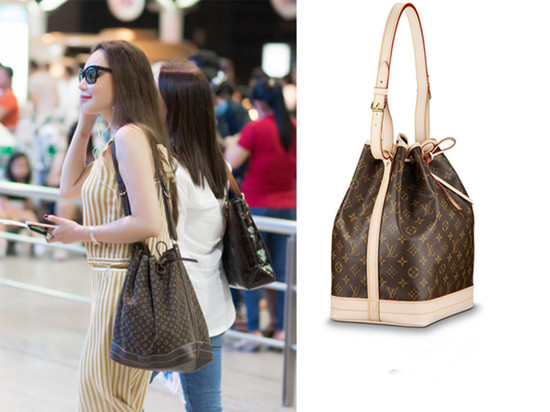 Túi xách Louis Vuitton Hồ Quỳnh Hương mang theo có giá bán gần 30 triệu đồng. Ảnh: Vietnamnet.