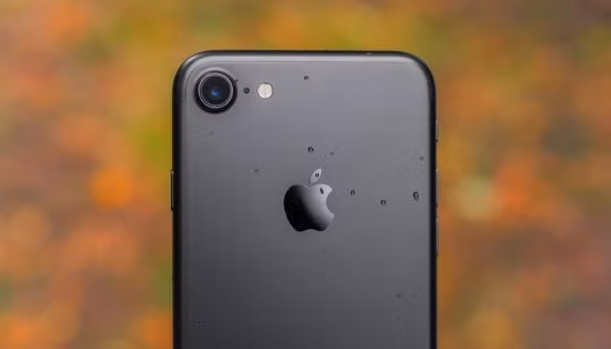 Camera trên phiên bản iPhone 7 thường có độ phân giải 12 megapixel, khẩu độ f/1.8, hỗ trợ chống rung quang học OIS, tích hợp hệ thống 4 đèn flash với khả năng tạo ra lượng ánh sáng nhiều hơn 50% so với người tiền nhiệm.