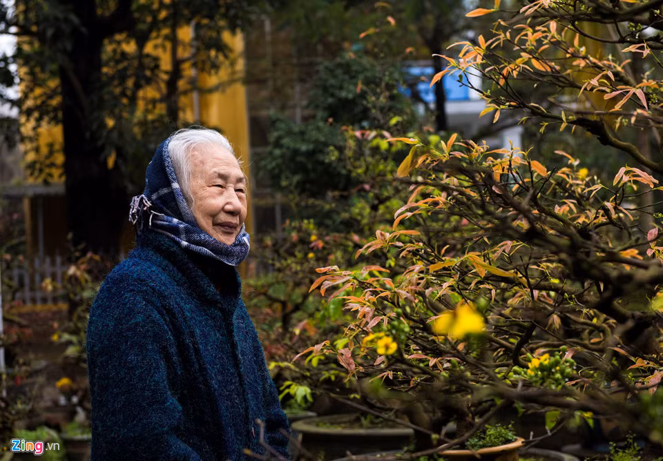 Cụ Bé đang ngắm nhìn những cây mai trong vườn nhà. Trong đó có những cây tuổi đời ngang ngửa tuổi của cụ.