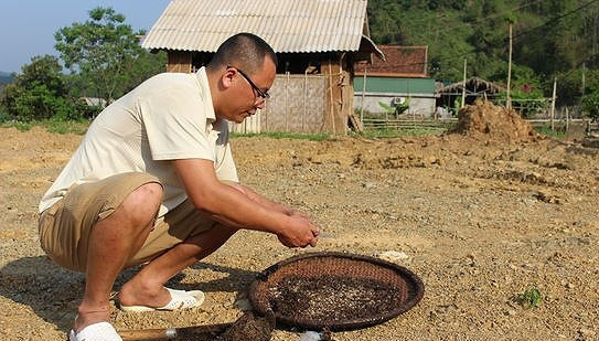 Nghề săn trứng kiến kiếm được tiền nên vào ngày nghỉ, học sinh cũng không muốn bỏ lỡ cơ hội hái lộc rừng. Ảnh: Baonghean.