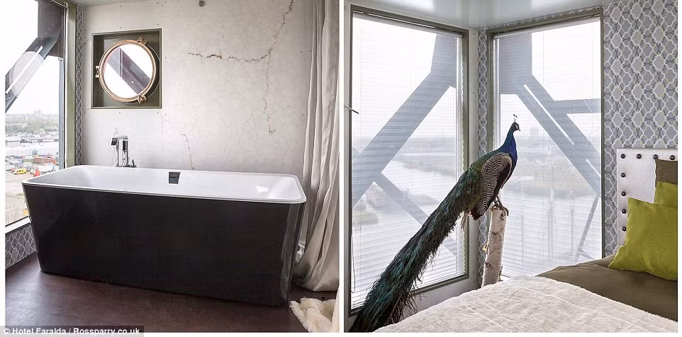 Khách sạn có 3 phòng được trang bị nội thất hiện đại gồm vòi tắm, bồn tắm nóng lạnh. Ảnh: DM.