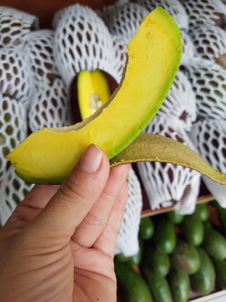 Ngoài ra, khi chín, vỏ bơ Cuba rất dễ bóc. Ảnh: FB Đặng Xuân Hồng Anh.