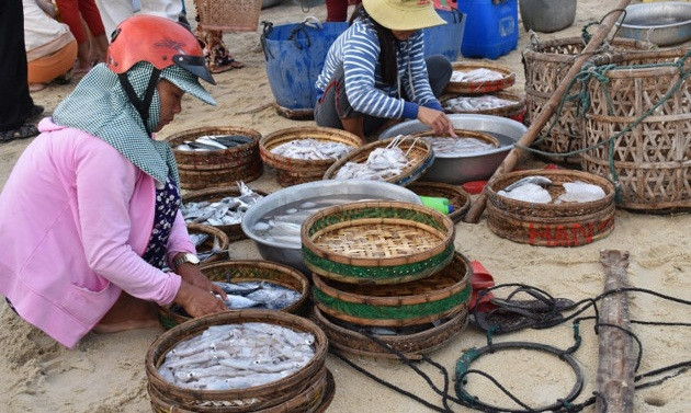 Mặt hàng nổi bật nhất tại khu chợ là cá, mực, tôm, ốc...Ảnh: VOV5.