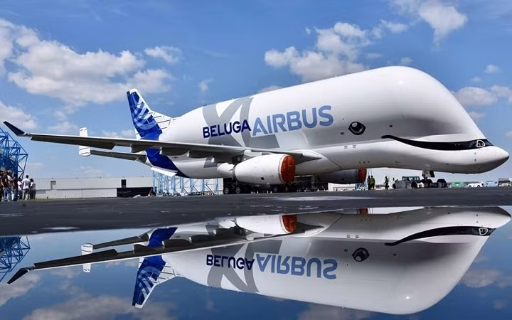 Máy bay Airbus Beluga XL có đầy đủ mắt mũi miệng như cá voi thật. Ảnh: Digital Trends.