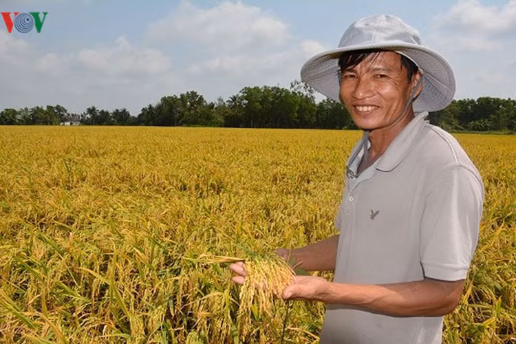 Năm nay niềm vui của nhà nông nhân đôi vì vừa trúng mùa lại được giá.