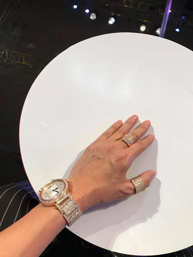 Đồng hồ và nhẫn Đàm Vĩnh Hương đeo có giá tới vài tỷ đồng. Ảnh: FBVN.