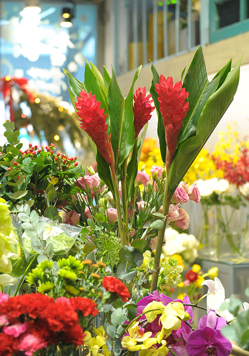 Dịp Tết Nguyên đán năm nay, ngoài đào đông đỏ, hoa mai Mỹ, thị trường hoa nhập khẩu năm nay còn có loài hoa mới mang tên "Hạnh Phúc". Ảnh: Báo Tin tức.