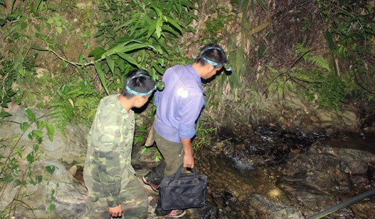 Bên cạnh cua đá biển, người dân ở miền Tây xứ Nghệ còn săn cua đá trên cá khe suối vùng cao. Ảnh: Baonghean.