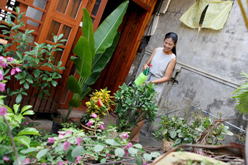 Khu vườn nhỏ tràn ngập sắc hoa. Ảnh: Khám phá.