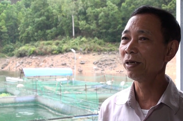 Lồng cá của ông Hạnh có khoảng 20.000 con cá lăng. Ảnh: VTC.