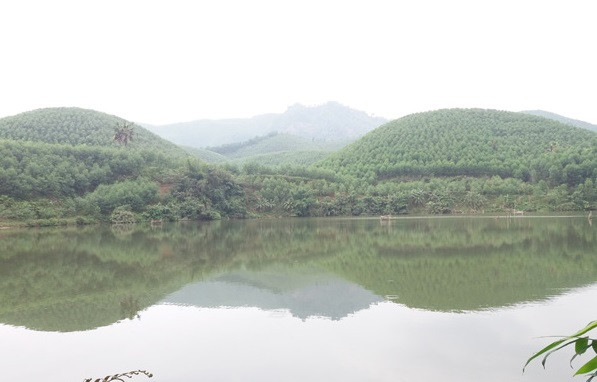 Từ đó, ông Trọng mở rộng thêm dịch vụ phục vụ "cần thủ". Hiện, trong ao nhà ông còn khoảng 50.000 con cá các loại. Ảnh: Dân Việt.