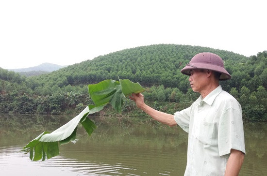 Sống bên núi đồi lâu, ông Trần Đình Trọng (xã Kim Ngọc, Bắc Quang, Hà Giang) nảy sinh ra ý tưởng đào ao thả cả. Lúc đầu ông nuôi cá thịt, về sau ngày càng đông khách đến thuê địa điểm câu cá. Ảnh: Dân Việt.