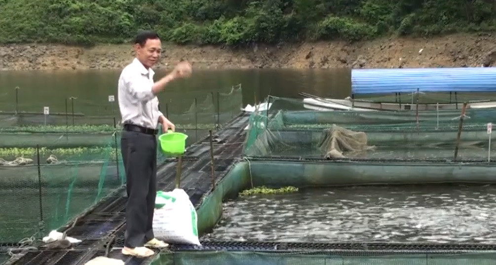 Thương lái từ nhiều tỉnh đến hồ cá của ông mua với giá 75.000 đồng/kg. Ảnh: VTC.