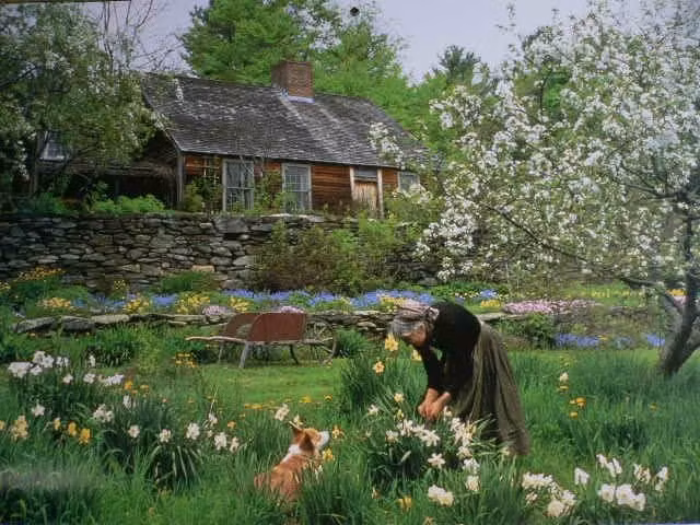 Ngôi nhà của bà Tasha ở Mỹ như bước ra từ truyện cổ tích với chái nhà gỗ, khu vườn rộng luôn ngập tràn sắc hương.