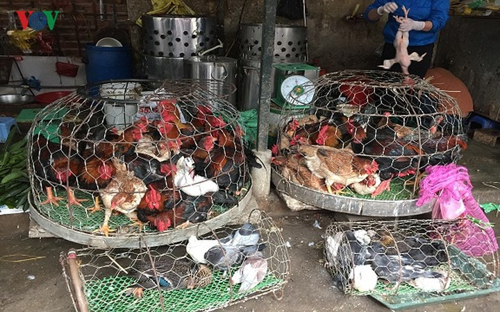 Giá gà trống cũng tăng so với ngày thường. Chị Nguyễn Thị Tươi, bán gà tại chợ Vĩnh Tuy (quận Hai Bà Trưng, Hà Nội) cho biết "Nhu cầu gà lễ tăng cao nên giá cũng tăng. Phải hết tháng Giêng thì giá gà mới lại hạ, vì trong tháng Giêng, nhu cầu mua gà đi lễ vẫn cao"