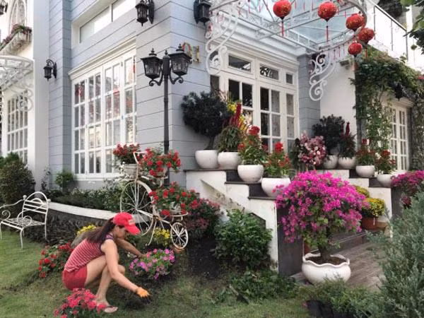 Cựu người mẫu Thúy Hạnh trồng nhiều loại hoa, cây cảnh trong vườn nhà. Ảnh: Khám phá.