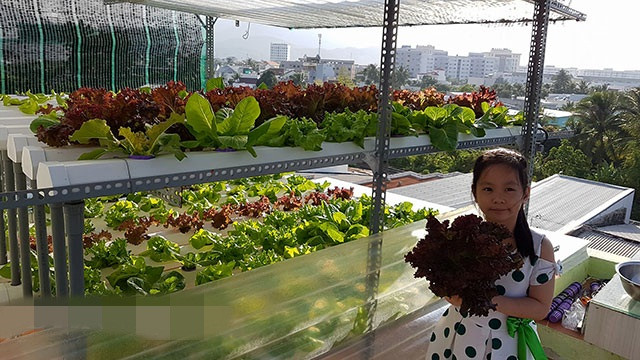 Ngoài cung cấp rau sạch, vườn rau của anh Bảo còn là nơi vui chơi, giải trí của các thành viên trong gia đình. Ảnh: Dân Việt.