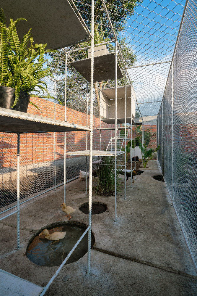 Lớp lưới bảo đảm an toàn cho đàn gà nhưng không giới hạn tầm nhìn và kết nối giữa bên trong và bên ngoài.