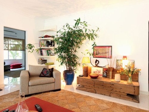 Có thể kê chậu cây xanh, bình phong kệ...vào góc nhà. Ảnh: Vanphongsangtrong.