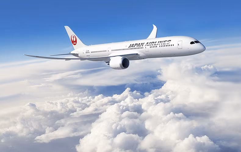 Japan Airlines dự định sẽ tăng số lượng ghế trên mỗi chuyến bay quốc tế và sử dụng hệ thống bán hàng trên mạng để giảm giá thành so với các hãng hàng không truyền thống khác.