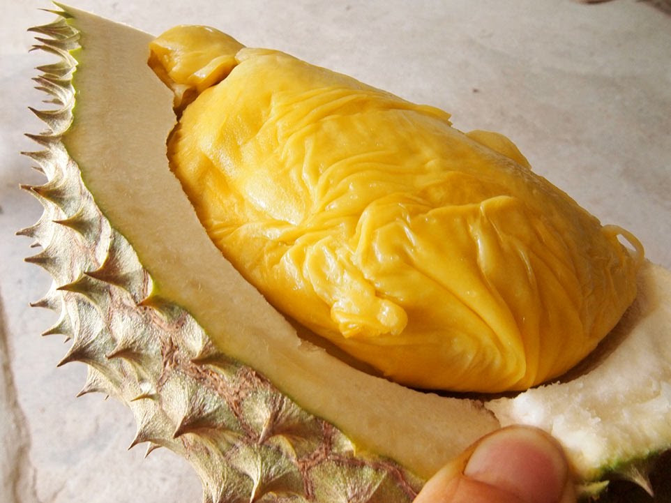 Nhiều người còn đánh giá loại sầu riêng này ngon hơn cả Musang King – giống sầu riêng Malaysia được mệnh danh ngon nhất thế giới. Ảnh: Youtube.