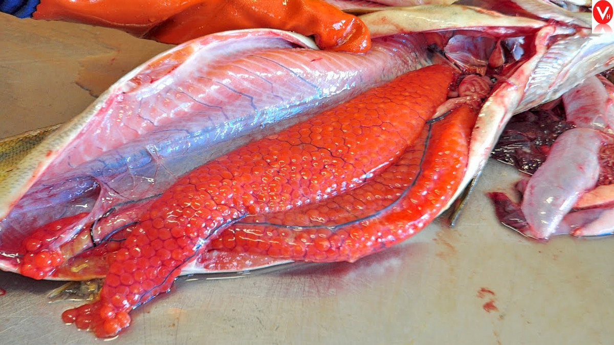 Tuy nhiên,một số nơi ở Nhật, họ ăn trứng cá hồi tươi ngay khi lấy ra từ bụng cá.