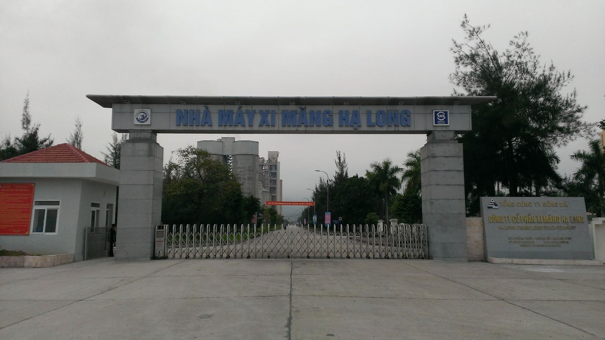 Tương tự, công ty xi măng Hạ Long lỗ xấp xỉ 200 tỷ đồng khi bước năm 2017 dù năm 2016 Vicem đã giúp công ty này có lãi (sau khi nhận chuyển từ Tổng công ty Sông Đà về). Ảnh: vnCement.