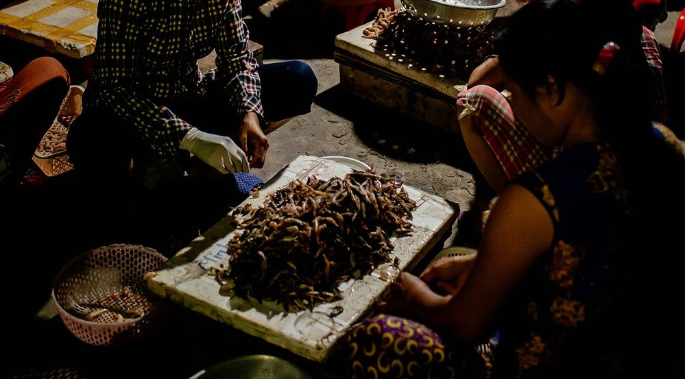 Trong ánh đèn, đâu đâu cũng xôn xao tiếng mua bán, trả giá. Chợ kéo dài đến khi trời sáng. Ảnh: Baonghean.