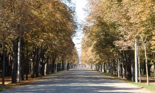 Thủ đô Vienna đẹp nhất vào tháng 10, nhưng trong mùa hè thành phố khoác lên mình vẻ đẹp rực rỡ đầy màu sắc hiếm có của một thành phố cổ kính. Ảnh: Run International.