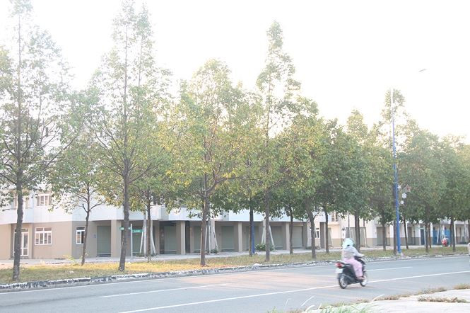 Thành phố Mới này gồm các khu trung tâm chính trị - hành chính; trung tâm tài chính, ngân hàng, chứng khoán; công viên công nghệ kỹ thuật cao; trung tâm hội nghị, triển lãm quốc tế, trường đại học; khu phục vụ cộng đồng là quảng trường, công viên, hồ sinh thái…; khu văn phòng cho thuê, nhà hàng, khách sạn cao cấp và khu các công trình hạ tầng kỹ thuật.