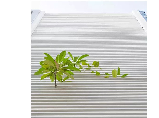 Hệ lam nhôm vừa đảm bảo tính thẩm mỹ, vừa giúp thông gió và cung cấp ánh sáng tự nhiên cho không gian sinh hoạt bên trong.