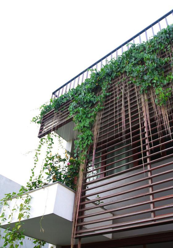 Hệ lan chớp ngoài mặt tiền vừa bảo vệ an ninh vừa mang lại vẻ đẹp kín đáo cho ngôi nhà phố.