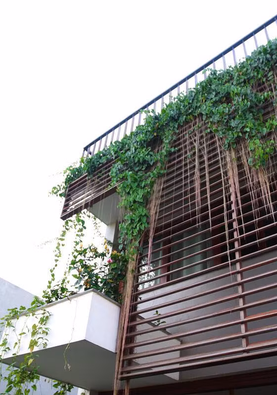 Hệ lan chớp ngoài mặt tiền vừa bảo vệ an ninh vừa mang lại vẻ đẹp kín đáo cho ngôi nhà phố.