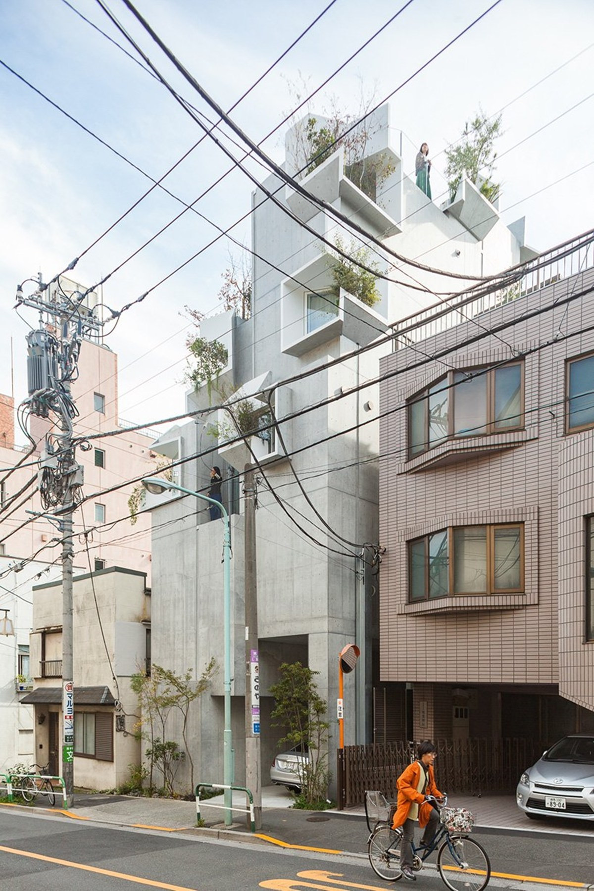 Ngôi nhà độc đáo như một chiếc cây có thân, rễ, nhánh, hoa, lá nhưng các bộ phận đó không hề độc lập.