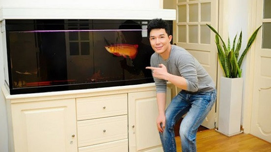 Nathan Lee còn dành khá nhiều tiền cho thú chơi cá rồng, loài cá cực kỳ đắt đỏ. Ảnh: VTC.