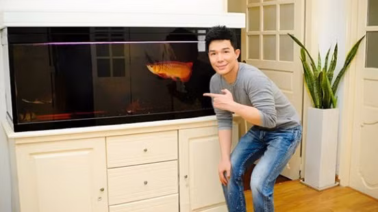 Nathan Lee còn dành khá nhiều tiền cho thú chơi cá rồng, loài cá cực kỳ đắt đỏ. Ảnh: VTC.