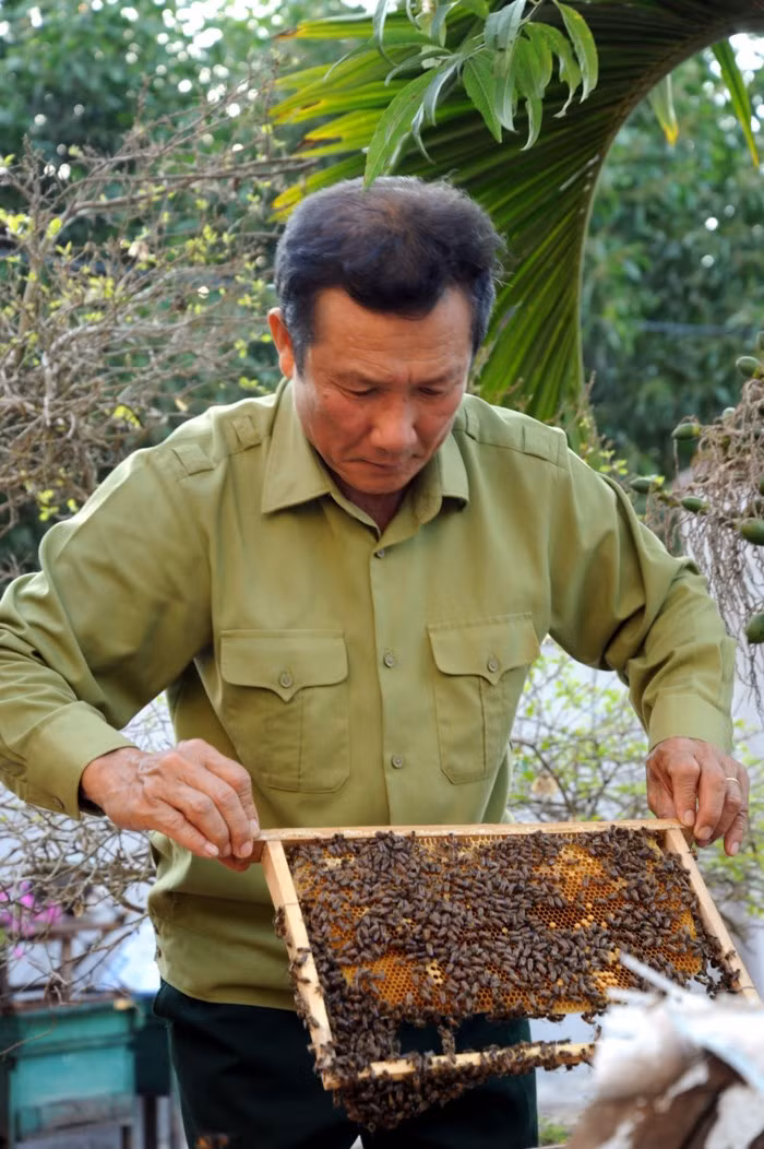 Với giá bán 150.000 – 200.000 đồng/lít, mỗi năm các hộ nuôi ong thu về hàng trăm triệu đồng. Ảnh: Baobacgiang.