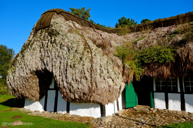 Điểm đặc biệt nhất là phần mái nhà lợp bằng 32 tấn rong biển.