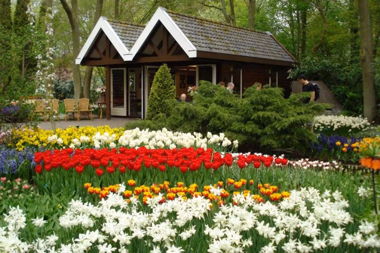 Thành phố Đà Lạt ngàn hoa rực rỡ và vô cùng quyến rũ hút du khách Hà Nội bởi nhành phong lan, trà mi, đổ quyên, mimosa...với giá tour từ 4 - 5 triệu đồng/người. Ảnh: Vietfuntravel.