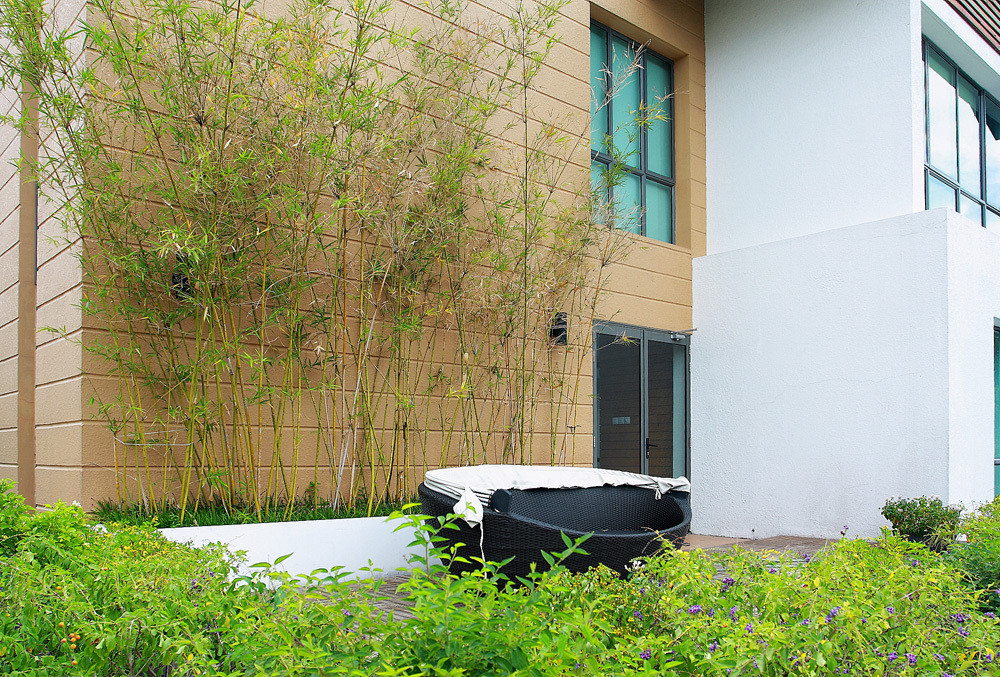 Hàng rào tre mang nét đẹp giản dị, thanh thoát và yên ả.